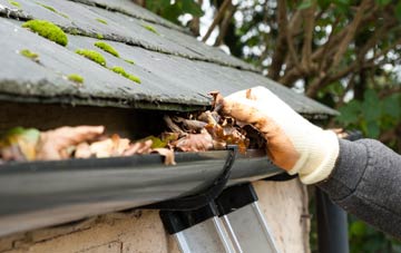 gutter cleaning Curry Mallet, Somerset
