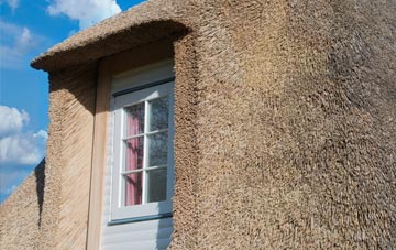 Curry Mallet thatch roof disadvantages